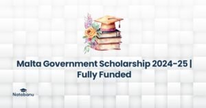 Read more about the article Malta Government Scholarship 2024-25 | Fully Funded