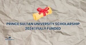 Read more about the article PRINCE SULTAN UNIVERSITY SCHOLARSHIP 2024 | FULLY FUNDED